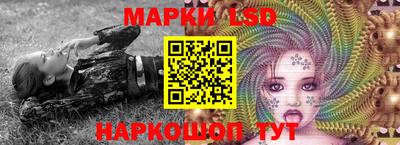 индика Новодвинск