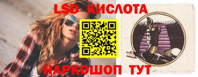 индика Новодвинск