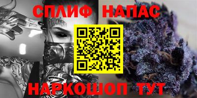 индика Новодвинск