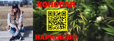 прущие крисы Новозыбков