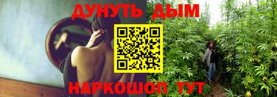 прущие крисы Новозыбков