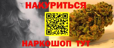 индика Новодвинск