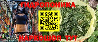 прущие крисы Новозыбков
