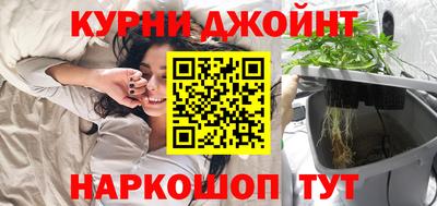 индика Новодвинск
