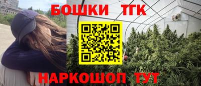 индика Новодвинск