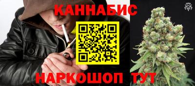 прущие крисы Новозыбков