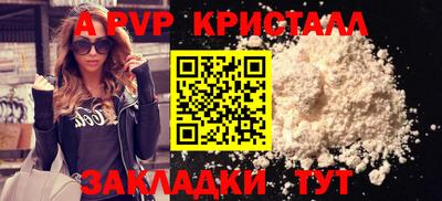 индика Новодвинск