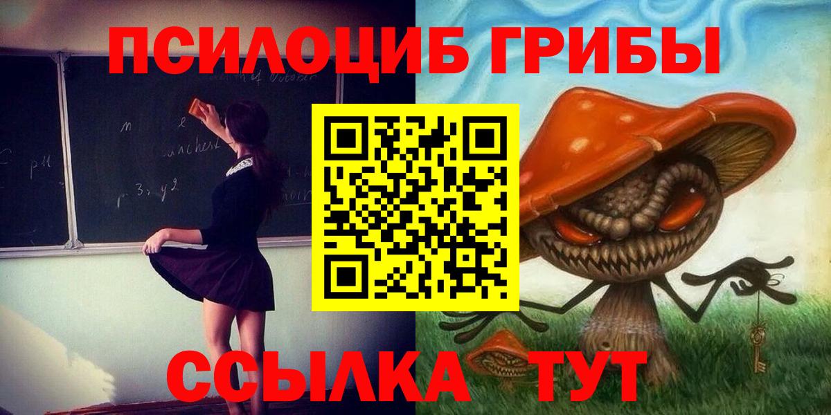 Чита  Галлюциногенные грибы Cubensis  Вход с VPN 