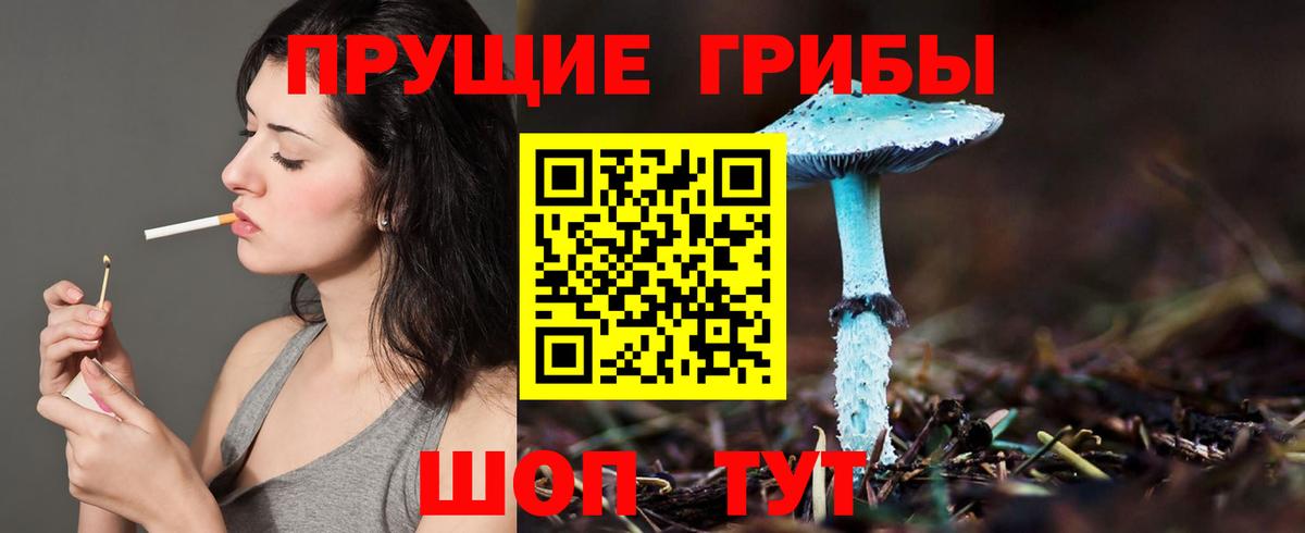 Псилоцибиновые грибы ЛСД Чита